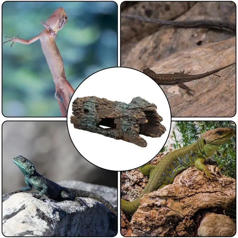 Snake Hideout Spider Cave Lizard Climbing & Turtle Resting Terrace Reptile Cave For Scorpion Spider Resting Gecko Cave