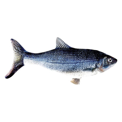 30CM Cat Toy Fish USB Electric Charging Simulation Dancing Jumping Moving Floppy Fish Cat Toy For Cats Toys Interactive