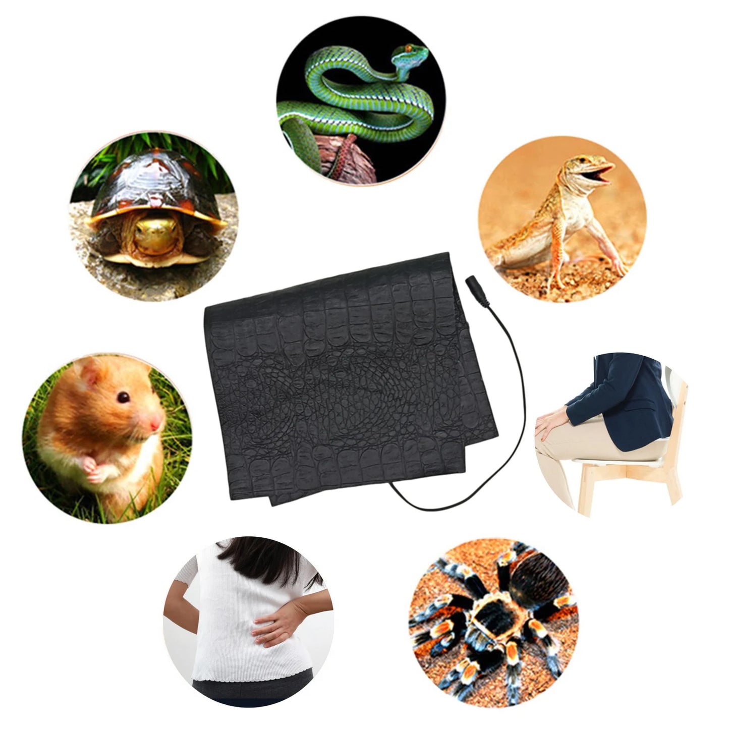 Terrarium Reptiles Heat Mat Climbing Pet Heating Pads Reptile Electric Blanket Reptiles Pet Turtles Snake Lizard Hamster Supply
