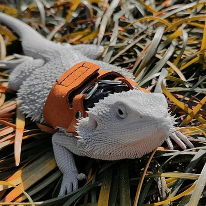 Bearded Dragon Rope And Harness Set Adjustable PU Leather Harness With Traction Rope Soft Leather Lizard Harness for Walking