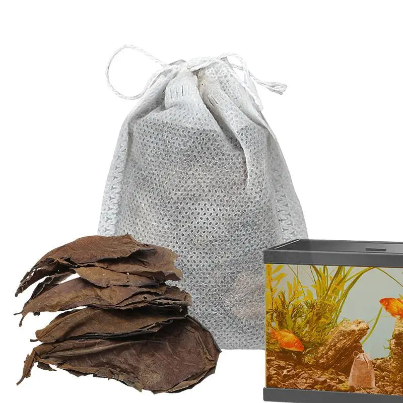 Catappa Leaves For Aquariums Catappa Almond Leaves Beta Fish Catappa Leaves Creats Rainforest Environment Lowers Your Tank's P.H