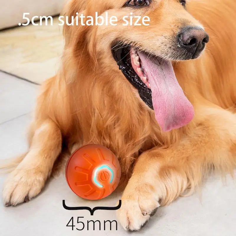 Smart Dog Ball Self Rolling Electric Ball Toy USB Charging Interactive Pet Exercise Ball  For Kittens Puppies And Cats