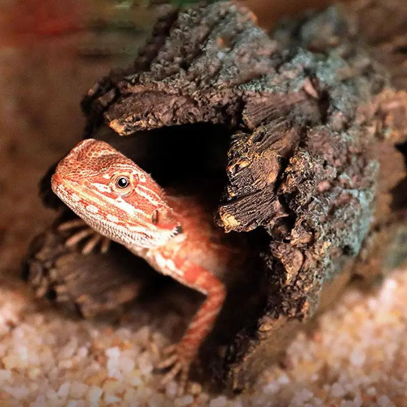 Snake Hideout Spider Cave Lizard Climbing & Turtle Resting Terrace Reptile Cave For Scorpion Spider Resting Gecko Cave
