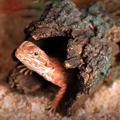 Snake Hideout Spider Cave Lizard Climbing & Turtle Resting Terrace Reptile Cave For Scorpion Spider Resting Gecko Cave