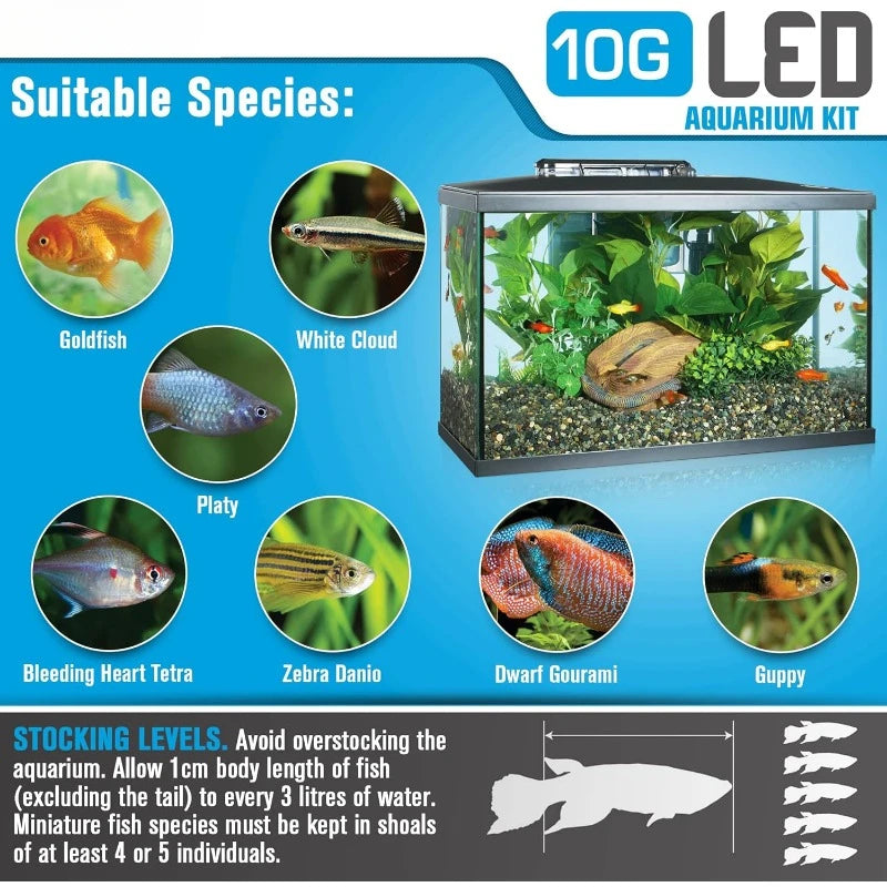Fish & Aquatic Pet Supplies, LED Aquarium Kit, 10 Gallon
