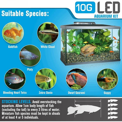 Fish & Aquatic Pet Supplies, LED Aquarium Kit, 10 Gallon