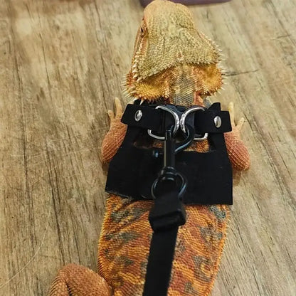 Bearded Dragon Rope And Harness Set Adjustable PU Leather Harness With Traction Rope Soft Leather Lizard Harness for Walking