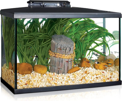 Fish & Aquatic Pet Supplies, LED Aquarium Kit, 10 Gallon